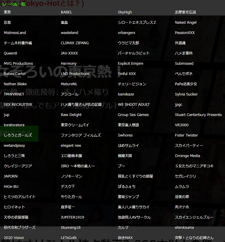 TOKYO-HOT(東京熱) レーベル一覧